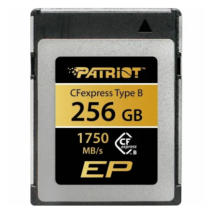 Cartao Patriot 256GB