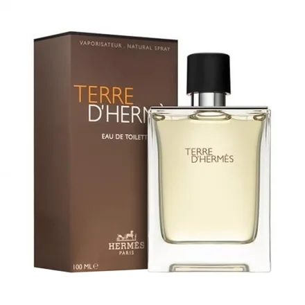 Perfume Hermes Terre Eau Toilette 100ml