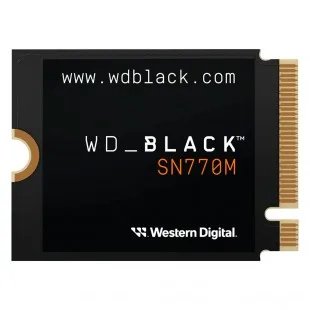 Western Digital Wd 2 2230 Leitura Grav 2TB