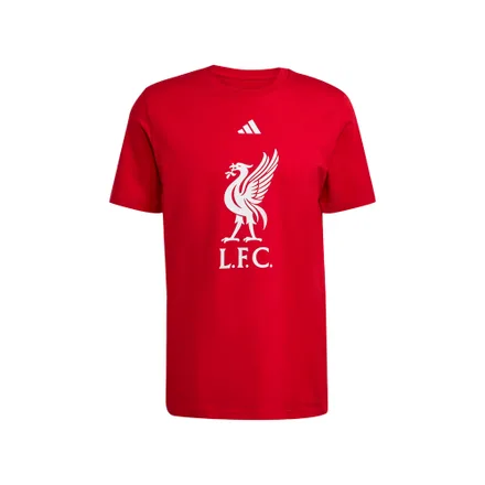 Remera Adidas Jw7894 Liverpool Fc Dna Graphic Masculino
