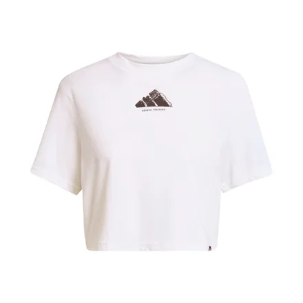 Remera Adidas Jy3370 Climacool Vintage Training Graphic Femenino