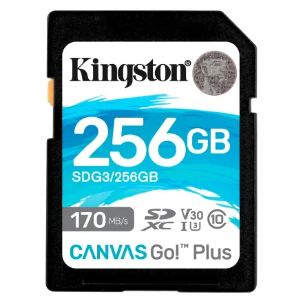 Cartao Sd Canvas Go Plus Sdg 3 256GB