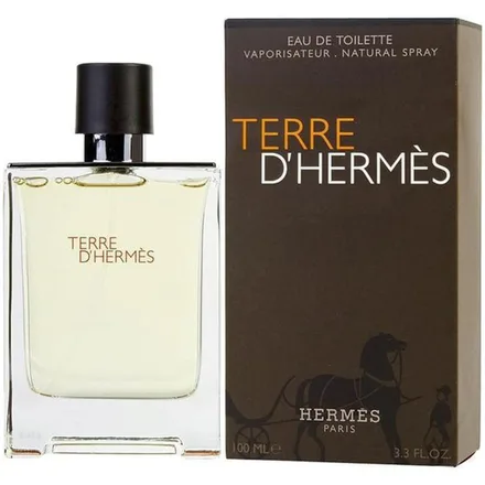 Perfume Hermes Terre Dhermes Edt Masculino 100ml