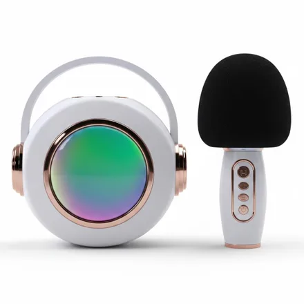 Speaker Ecopower Ep 2123 Aux Sd