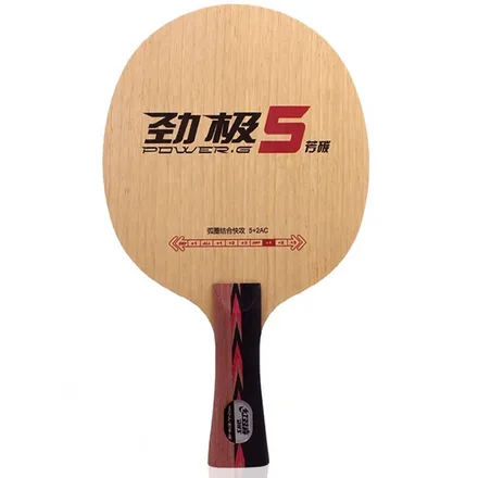 Dhs Paleta Ping Pong PG5