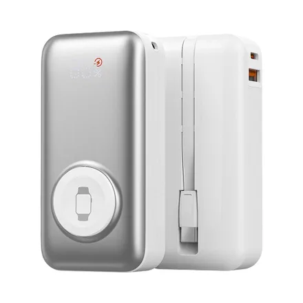 Power Bank Wiwu P027 10