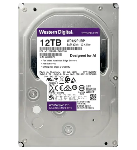 Western Digital Pro Sata 3 12TB