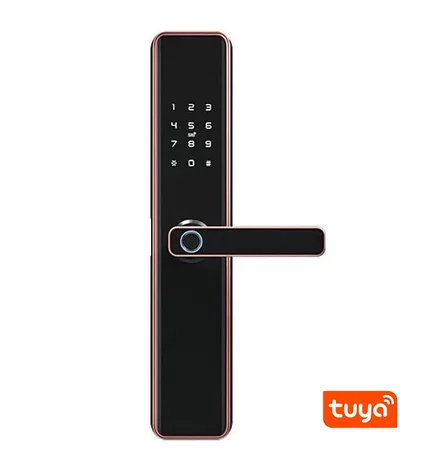 Fechadura Digital S818 Tuya Cartao Chave