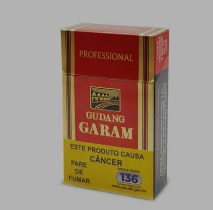 Gudang Garam Professional Cravo Con 20
