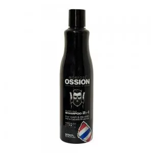 Shampoo Ossion Purifying 2 1 500ml