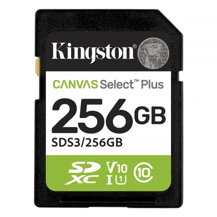 Cartao Sd Canvas Select Plus Sds 3 256GB