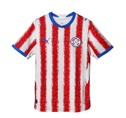 Puma Remera Apf Paraguay 01