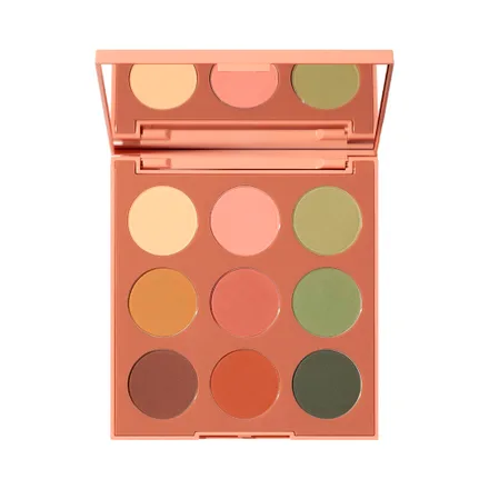 Paleta Sombras Morphe Artistry 9 Matte Essentials 10 Gr