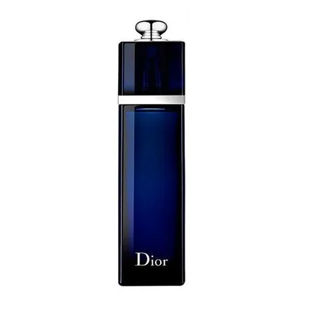 Perfume Christian Dior Addict Eau Parfum Feminino 100ml