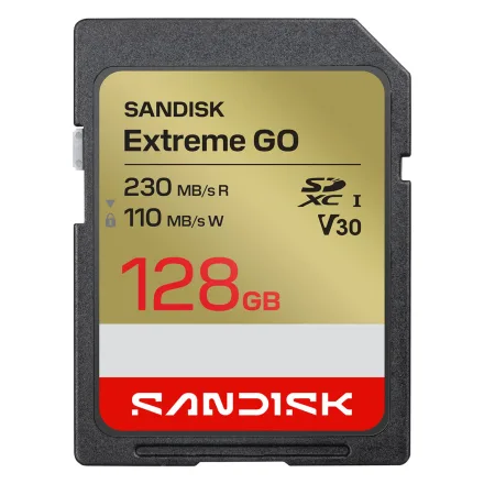 Cartao Sd Extreme Go Sdsdxgn Gncin 128g 128GB