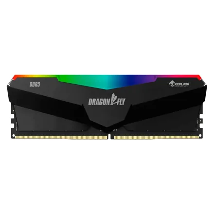 Keepdata Dragonfly Rgb Ddr 5 6000 16g