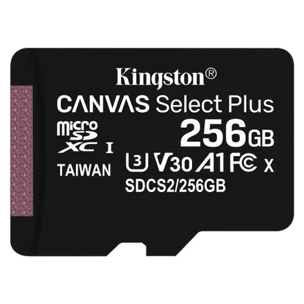 Cartao Sd Canvas Select Plus Sdxc Sdcs 2 256GB