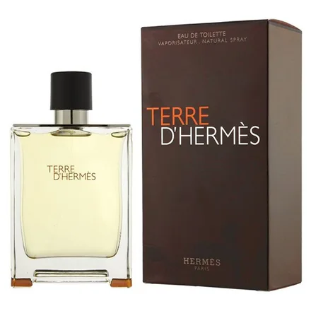 Perfume Hermes Terre Eau Toilette Masculino 100ml