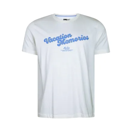 Remera Era Nev 25 Vacation Memories Masculino