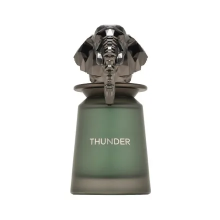 Perfume French Avenue Thunder Masculino Extrait Agatres 100ml
