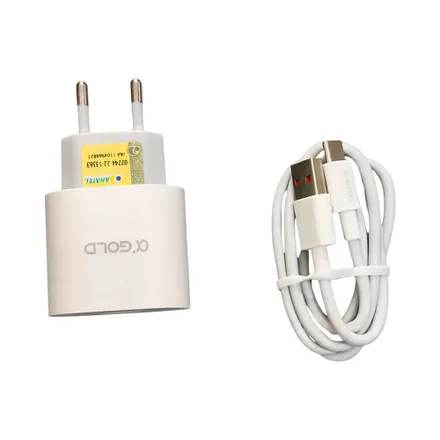 Cargador CA31 7