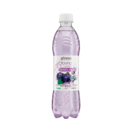 Funcional Genesis Young Arandano 500ml