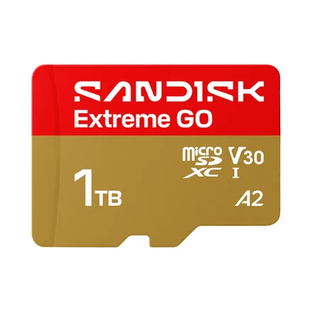 Sd Extreme Go 160 1TB