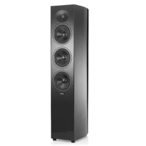 Torre Revel F36 Ash Concerta