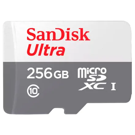 Cartao Ultra Sdxc Sdsqunr 256g 256GB