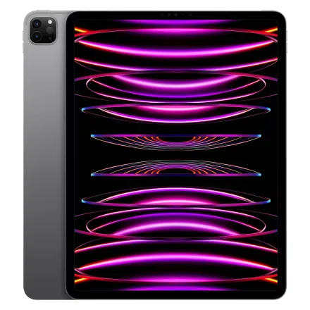 iPad Pro 11 M2 Espacial 256GB
