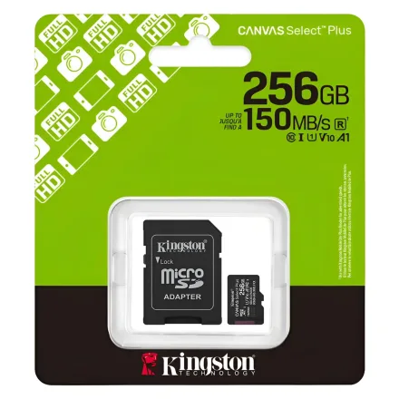 Cartao Sd Canvas Select Plus Sdcs 3 256GB
