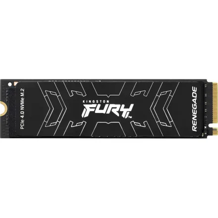 Interno 2 Sfyrd Fury Renegade Pcie 2TB