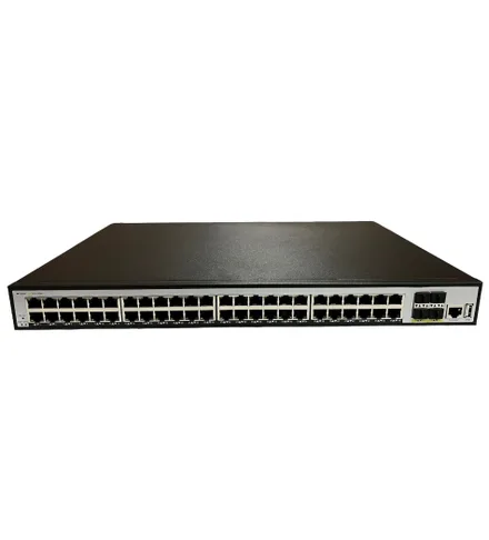 Switch 100 48GE Plus 2GF Pg