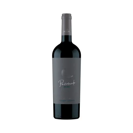 Vino Andeluna Pasionado Malbec 750ml