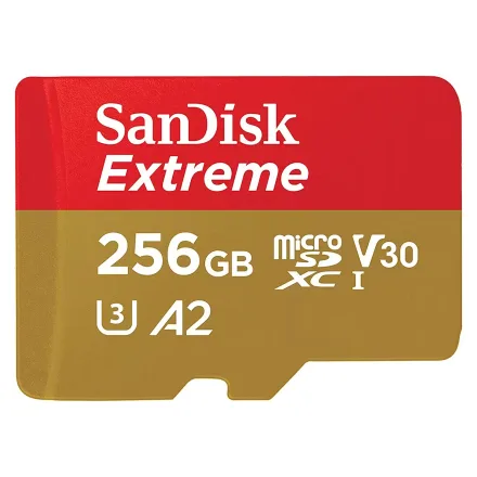 Cartao Sd Extreme Sdsqxav 256g 256GB