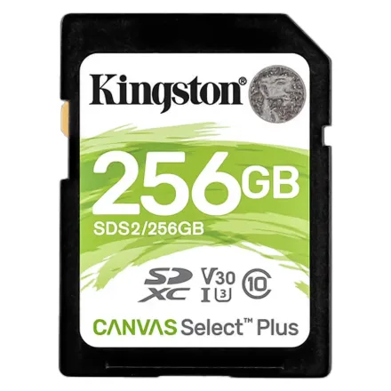 Cartao Sd Canvas Select Plus Sds 2 256GB