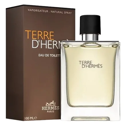 Perfume Hermes Terre Eau Toilette Masculino 100ml