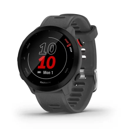 Smartwatch Forerunner 55 010 13
