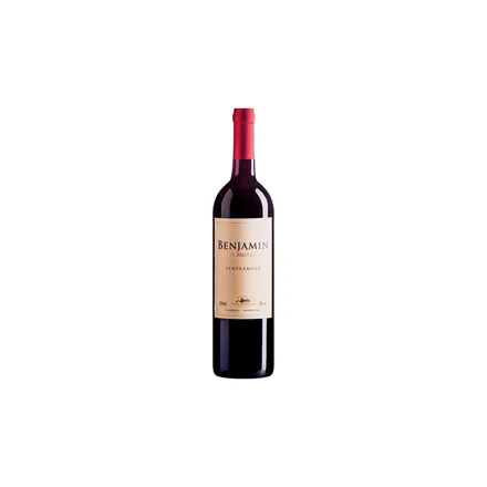VINO BENJAMIN NIETO SENETINER TEMPRANILLO TINTO
