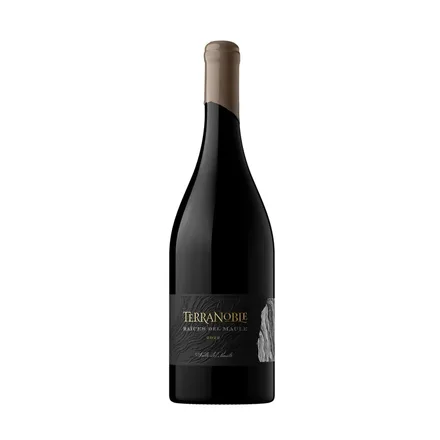Vino Terranoble Raices Del Maule Blend 750ml