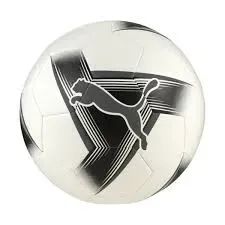Puma Pelota Prestige 01