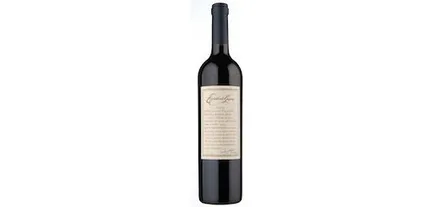 Vino Argentino Tinto Escorihuela Gascon Syrah 750ml