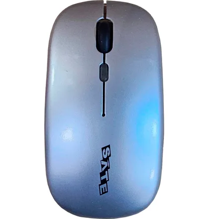Mouse Satellite 789g