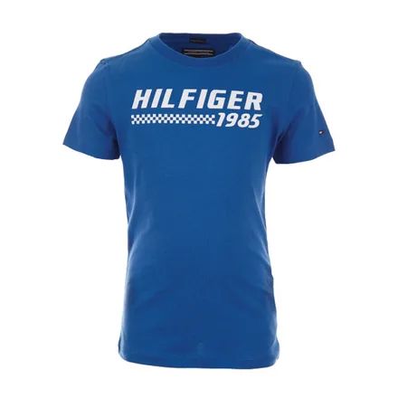 Camiseta Tommy Hilfiger Masculino 493 08
