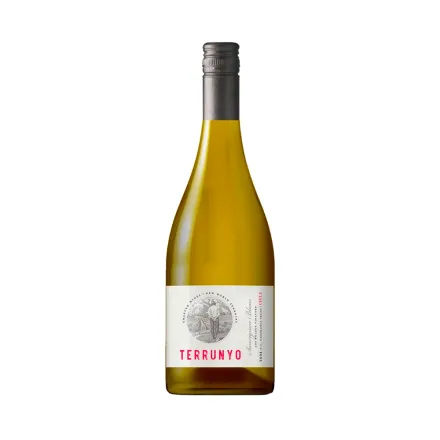 Vino Concha Toro Terrunyo Sauvignon Blanc 750ml