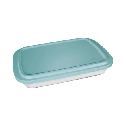 Asadera Rectangular Vidrio Marinex Con Tapa Gd 25 4 Surtido