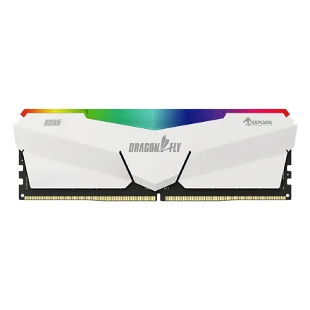 Keepdata Dragonfly Rgb Ddr 5 6000 16g