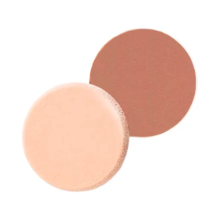 Polvo Shiseido Uv Protective Compact Refil 12g