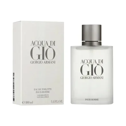 Perfume Masculino Giorgio Armani Acqua Di Gio Edt 100ml