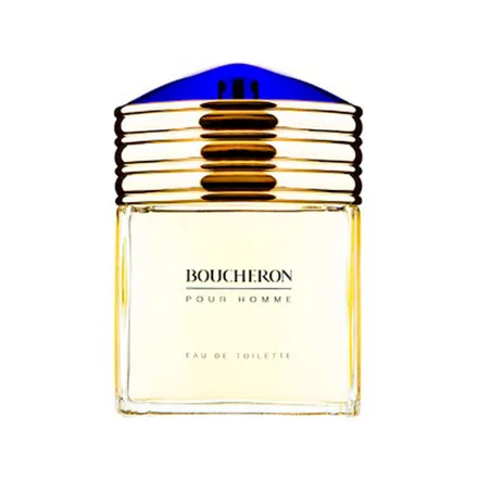Boucheron Edt 100ml